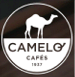  Raffinerie Camelo